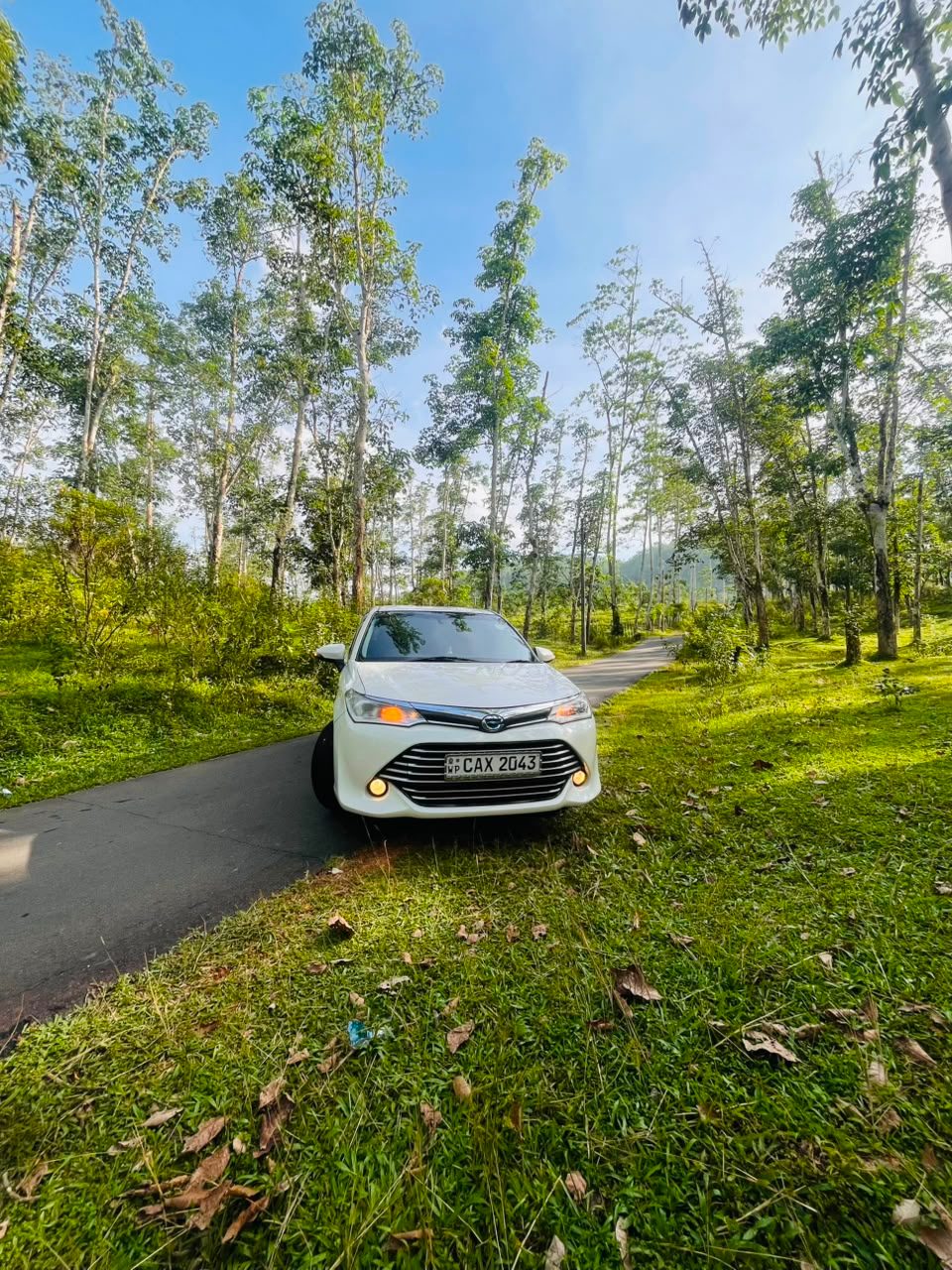 Toyota Axio for rent